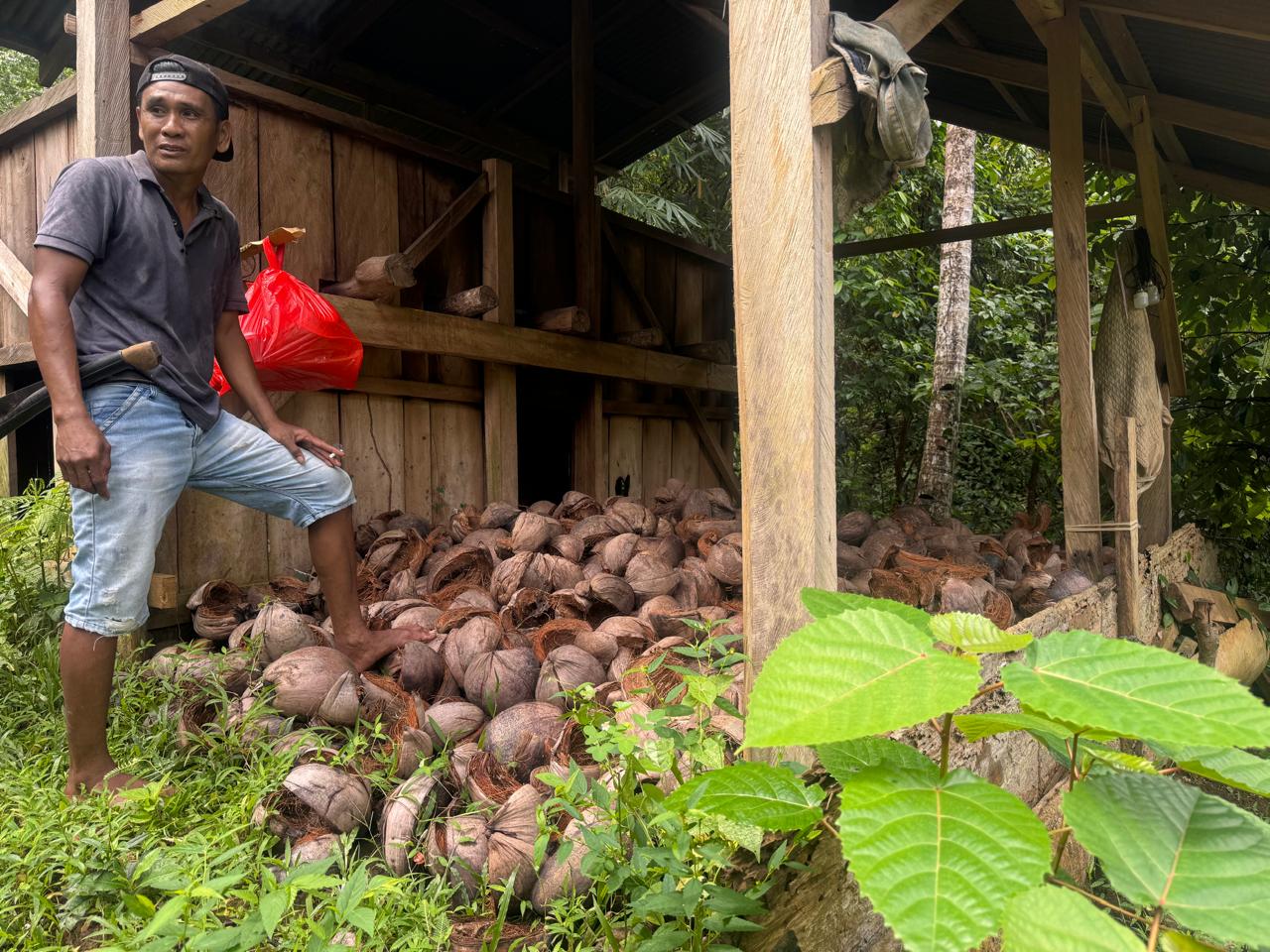 Kelapa - Komoditas Utama